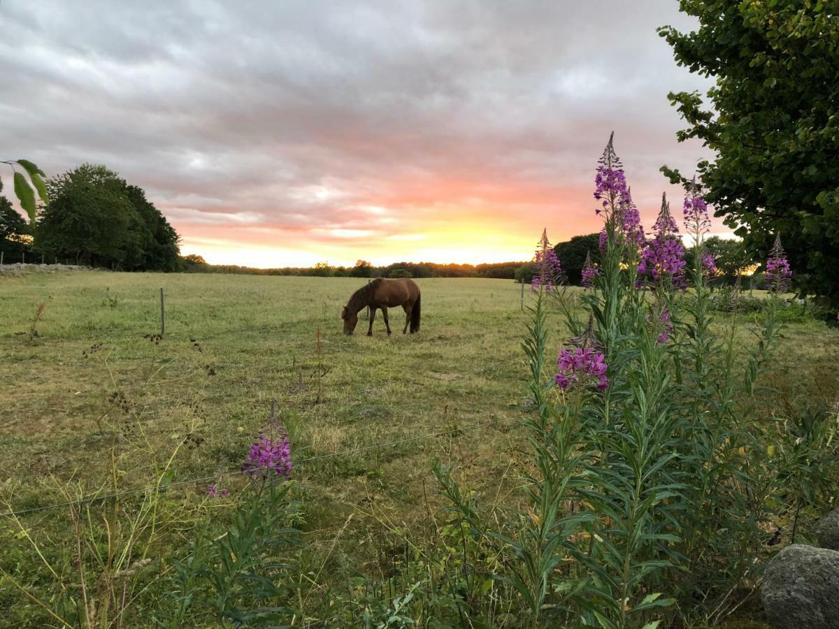 Vila Kattalaengan Brösarp Exteriér fotografie